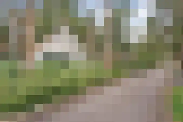 't Hertenspoor 136 Diever thumbnail 9