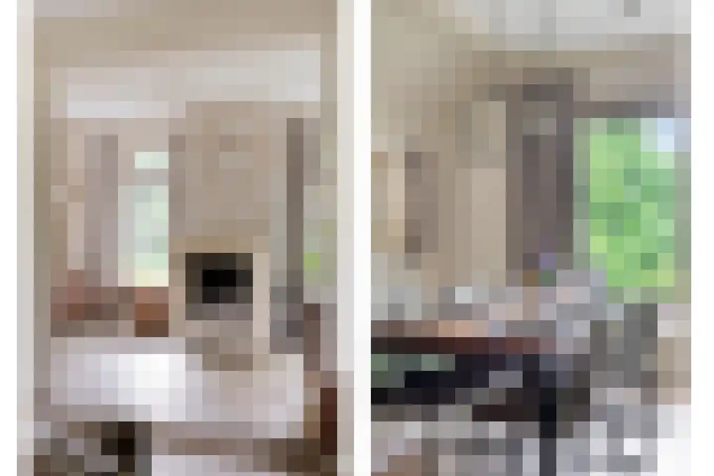 't Hertenspoor 14 Diever thumbnail 12