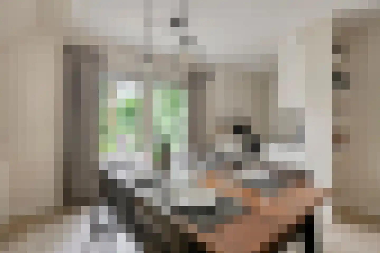 't Hertenspoor 14 Diever thumbnail 14