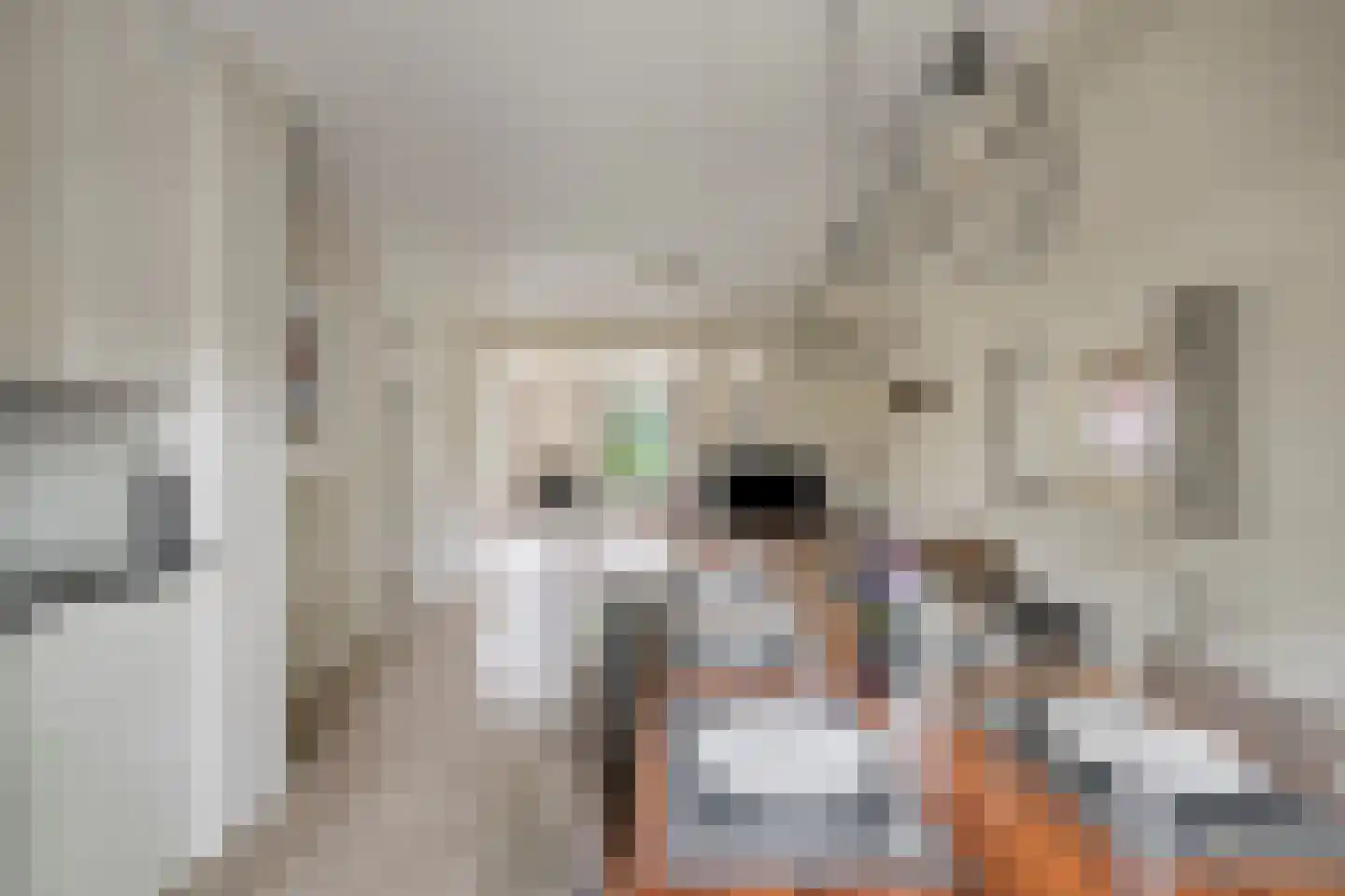 't Hertenspoor 14 Diever thumbnail 15