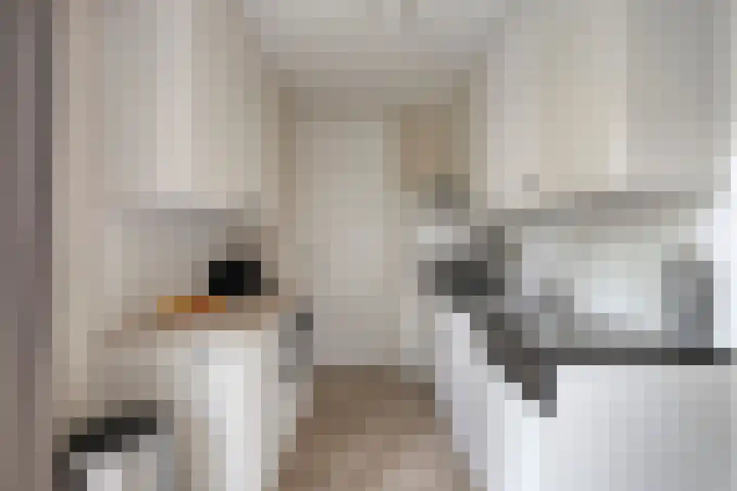 't Hertenspoor 14 Diever thumbnail 16