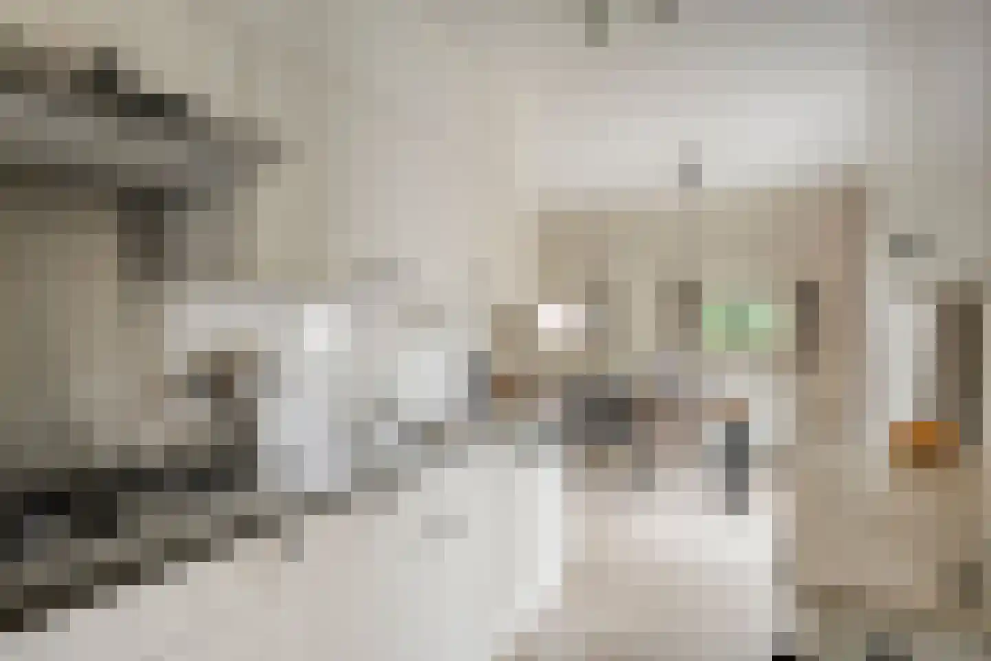 't Hertenspoor 14 Diever thumbnail 17