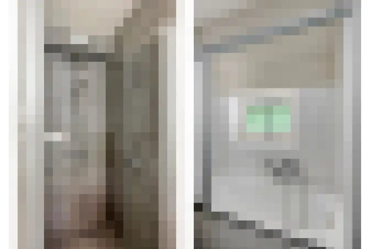 't Hertenspoor 14 Diever thumbnail 21