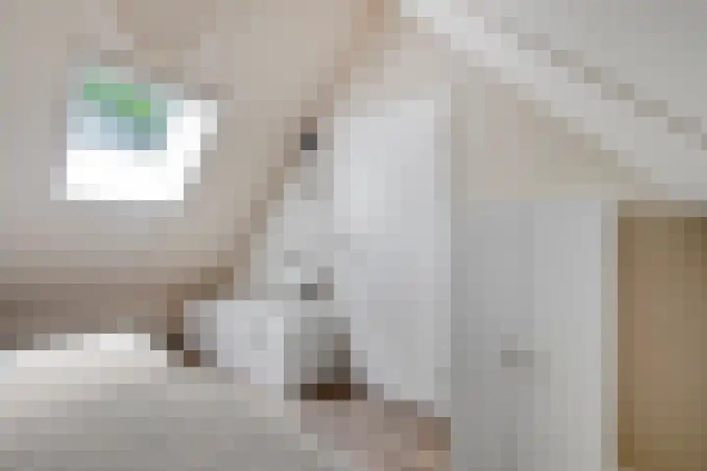 't Hertenspoor 14 Diever thumbnail 25