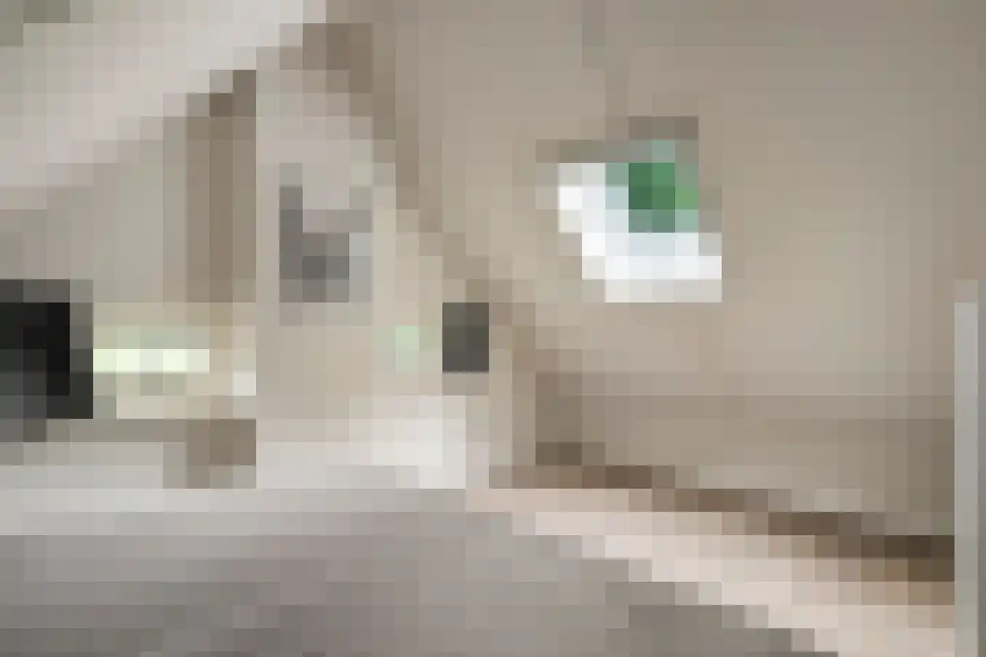 't Hertenspoor 14 Diever thumbnail 28