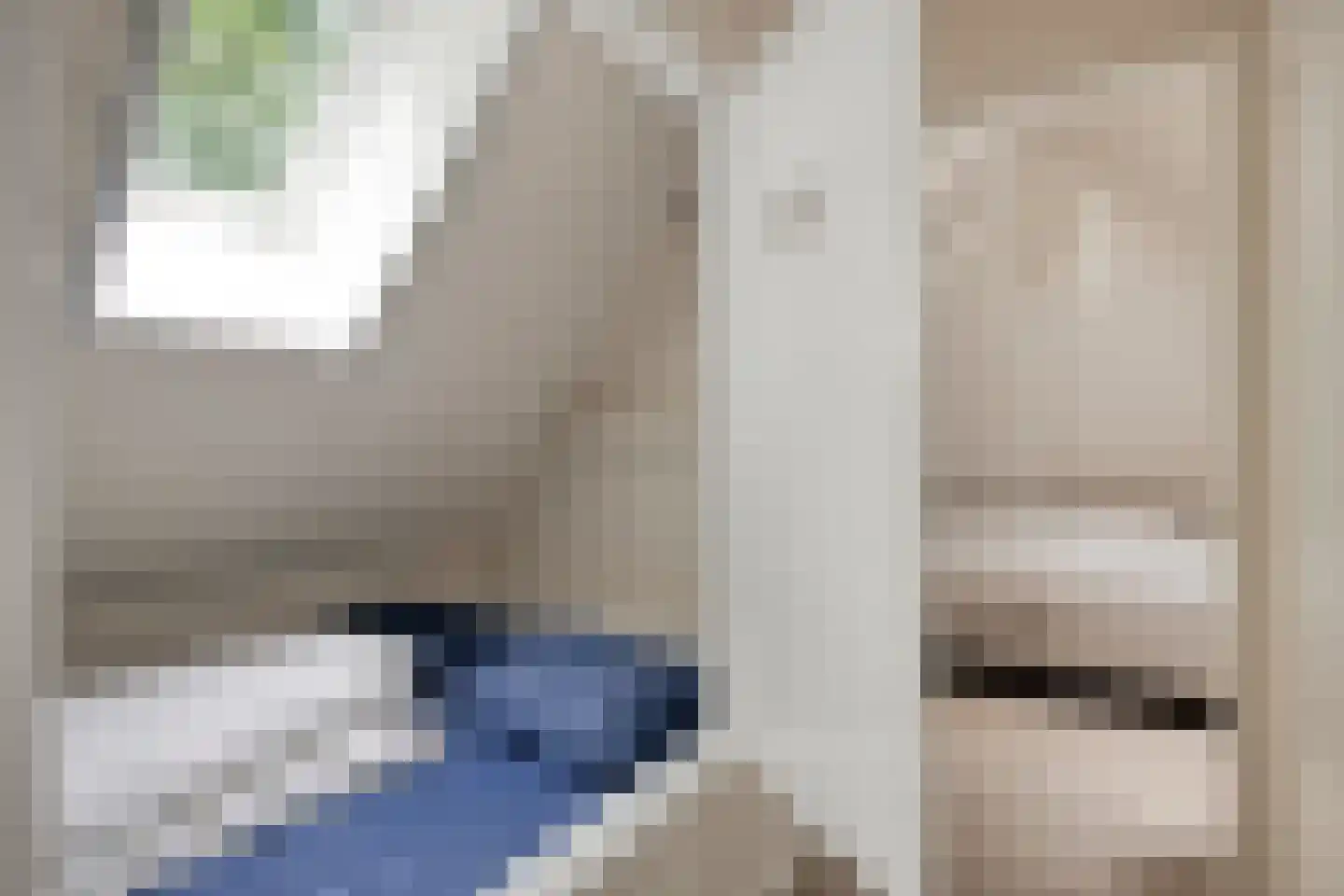 't Hertenspoor 14 Diever thumbnail 29