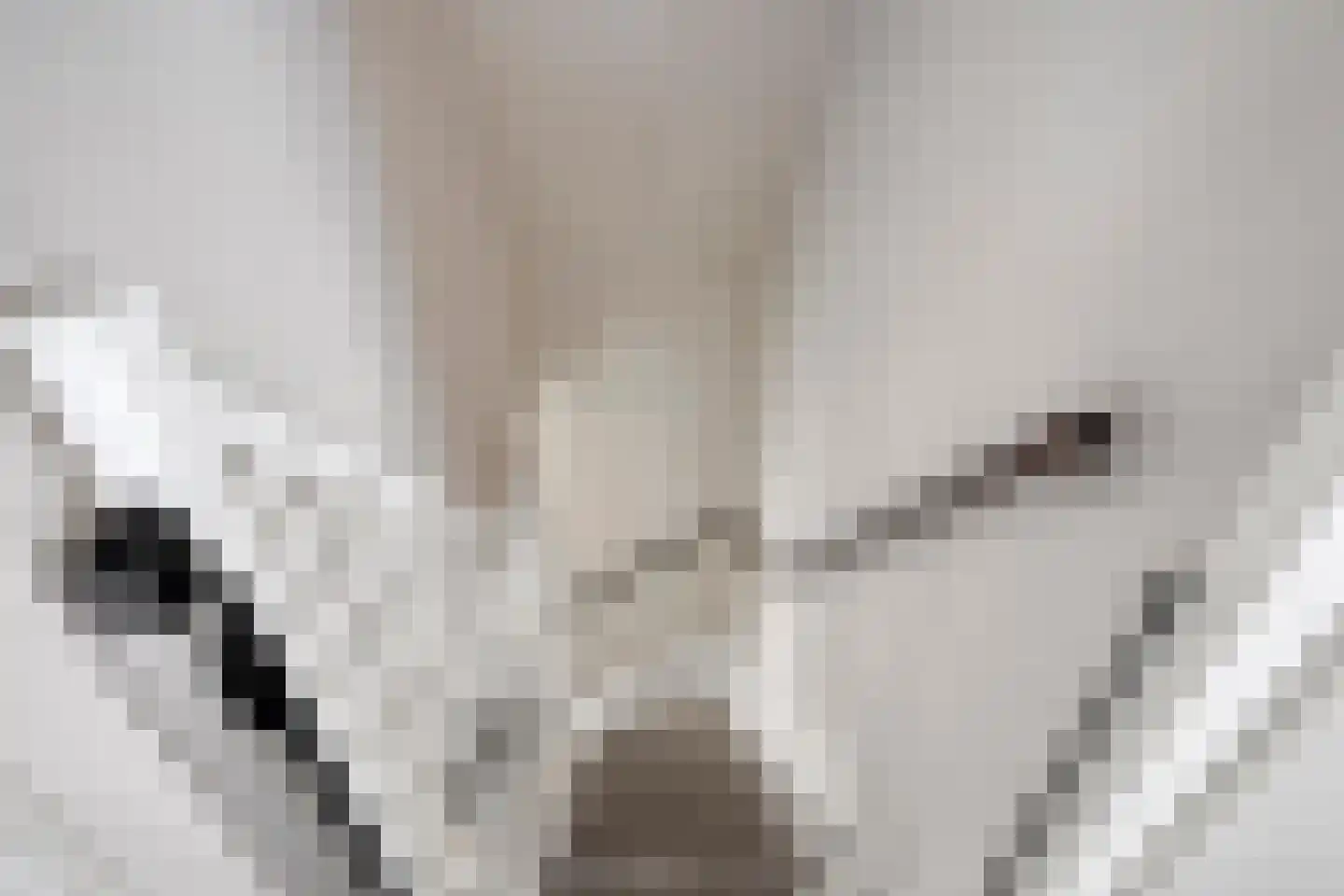 't Hertenspoor 14 Diever thumbnail 30
