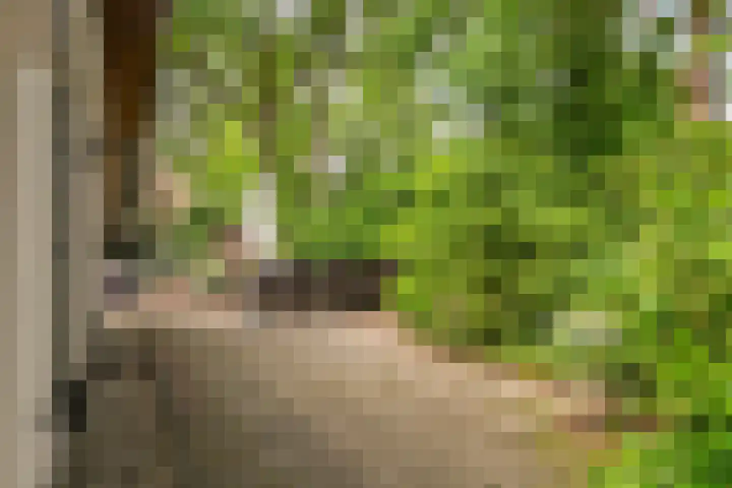 't Hertenspoor 14 Diever thumbnail 32