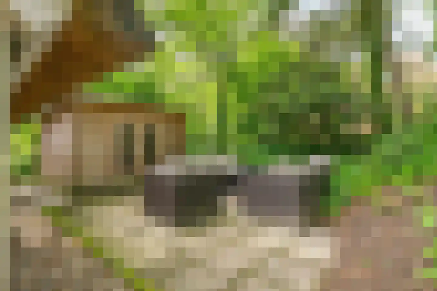 't Hertenspoor 14 Diever thumbnail 35