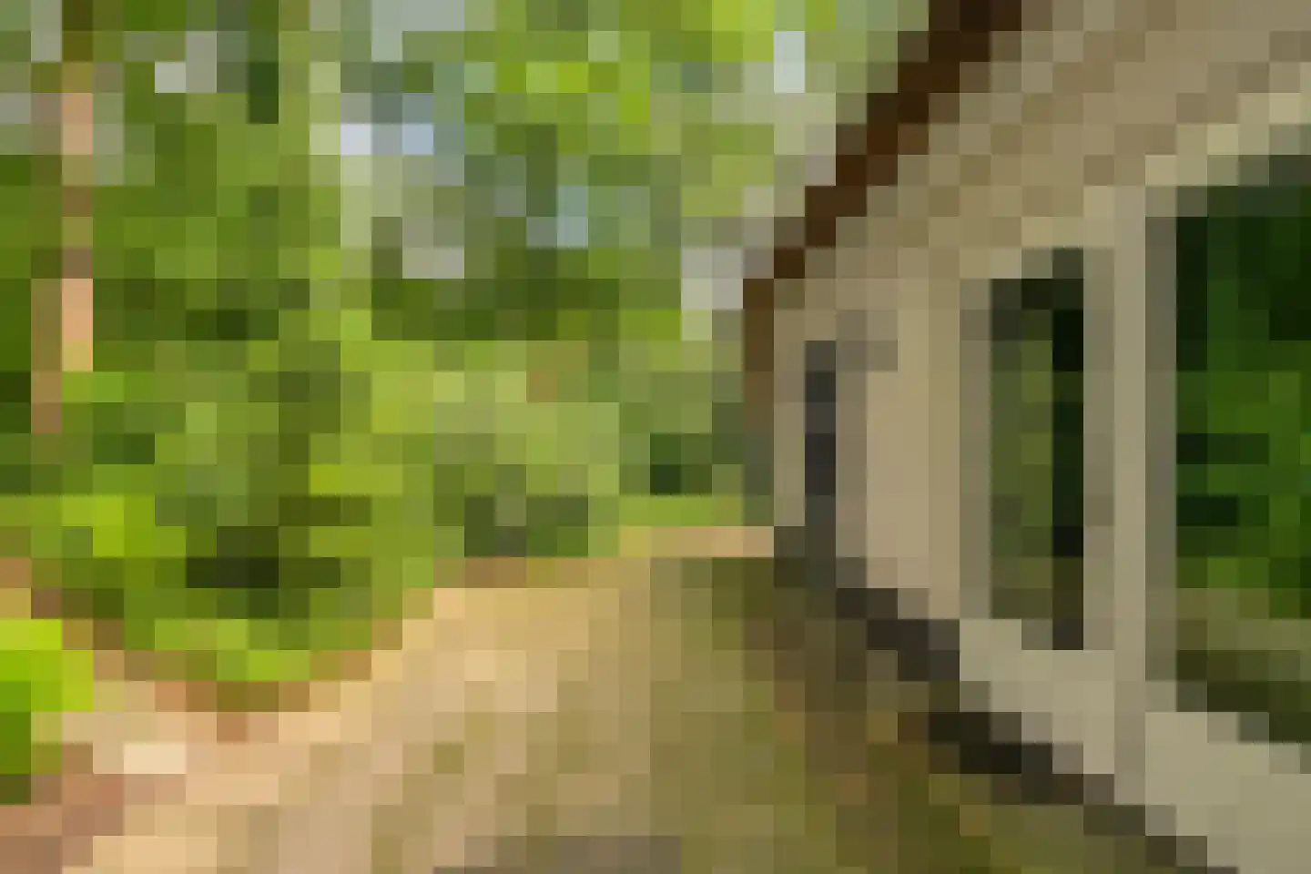 't Hertenspoor 14 Diever thumbnail 37