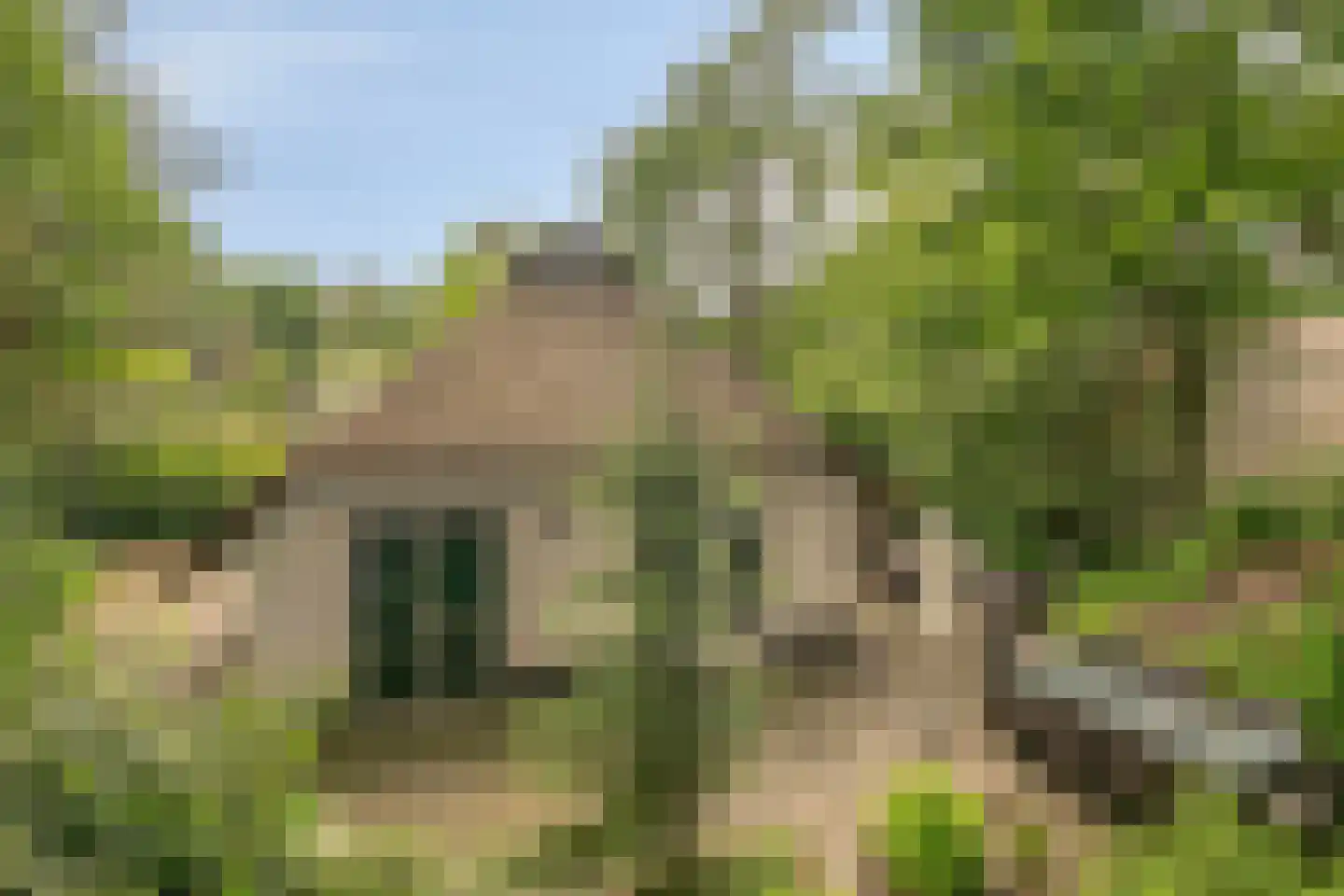 't Hertenspoor 14 Diever thumbnail 38
