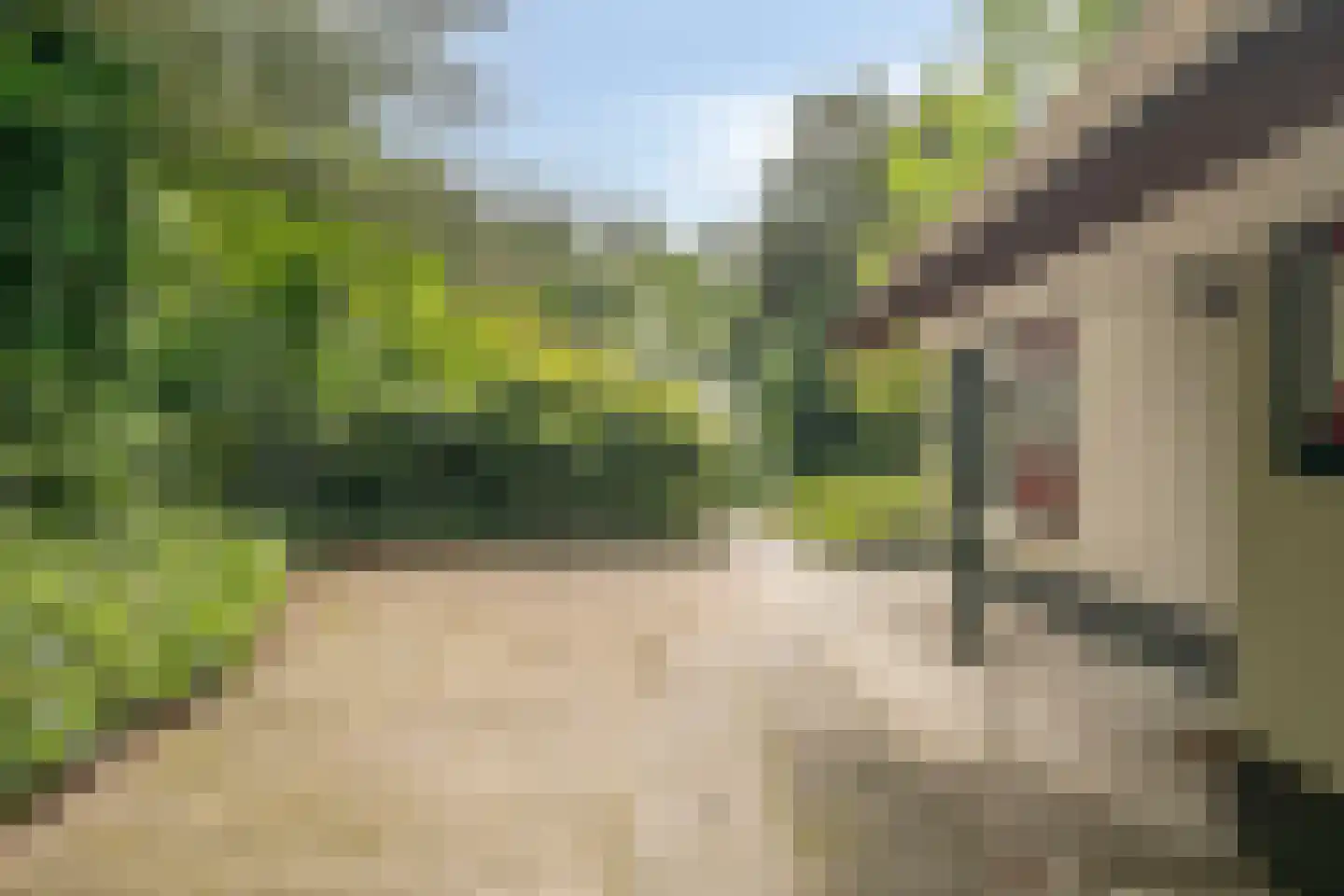 't Hertenspoor 14 Diever thumbnail 39