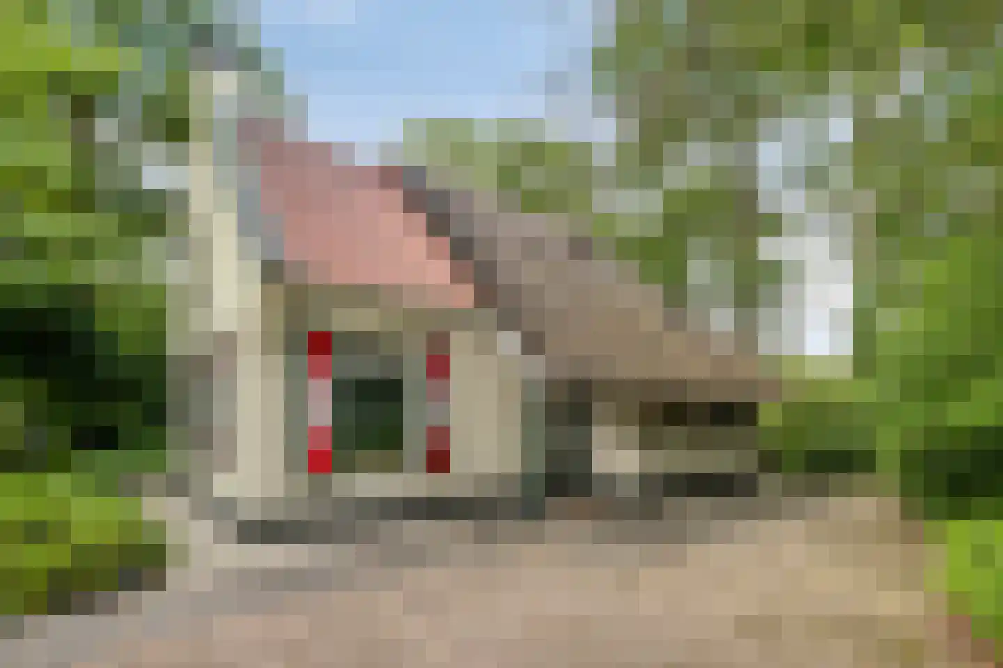 't Hertenspoor 14 Diever thumbnail 4