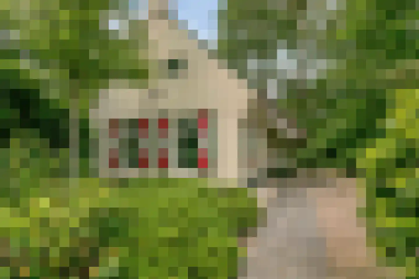 't Hertenspoor 14 Diever thumbnail 40