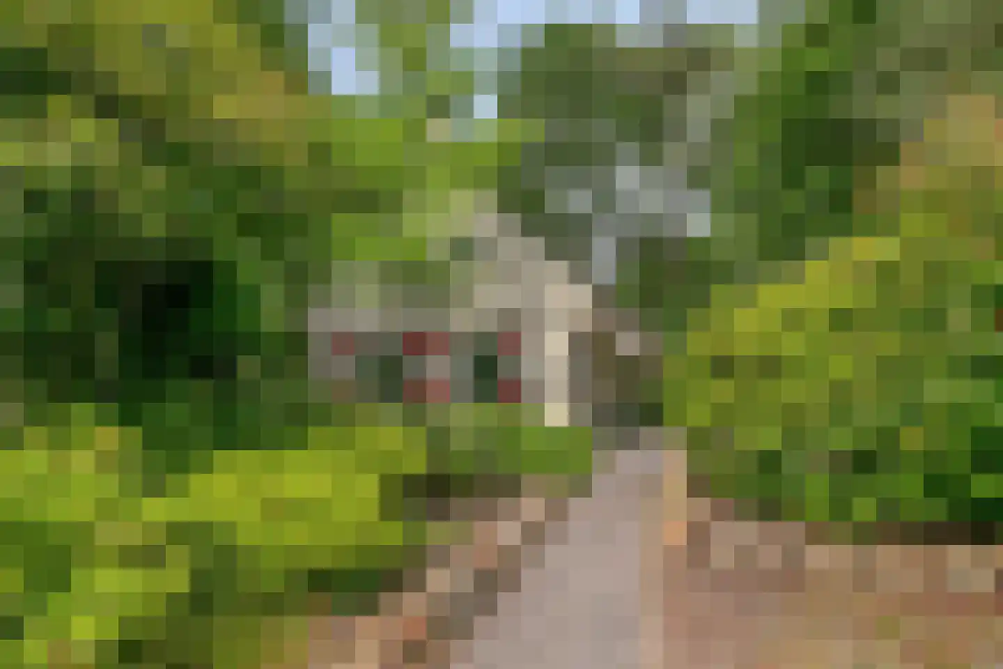 't Hertenspoor 14 Diever thumbnail 41