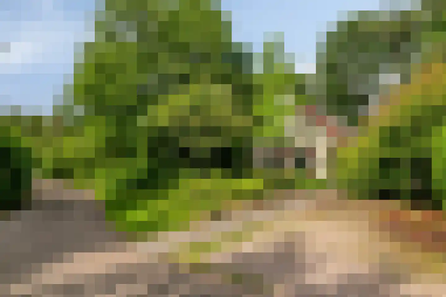 't Hertenspoor 14 Diever thumbnail 42