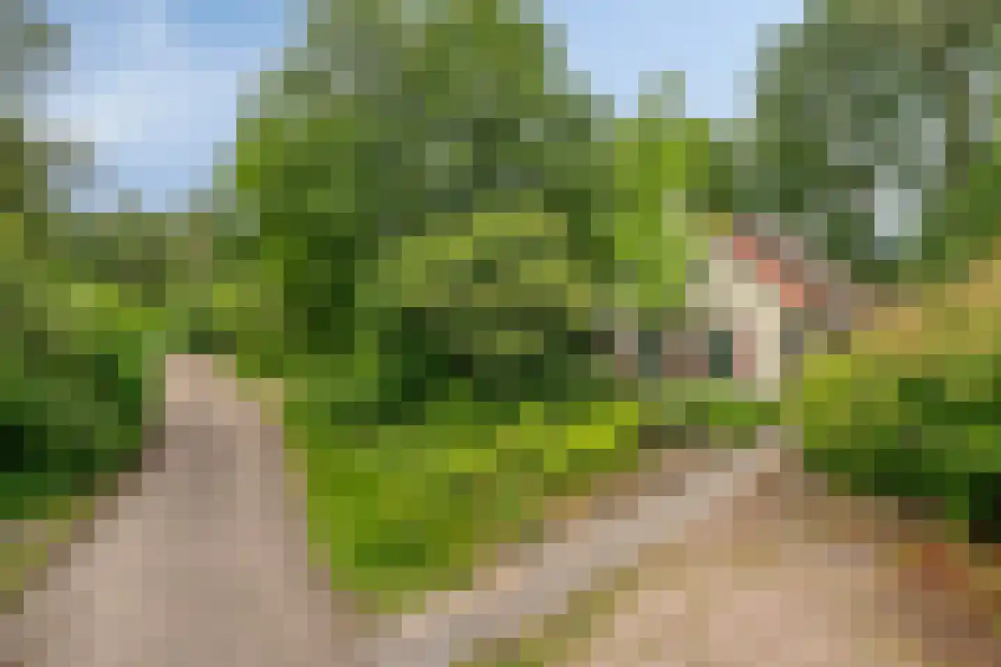 't Hertenspoor 14 Diever thumbnail 43