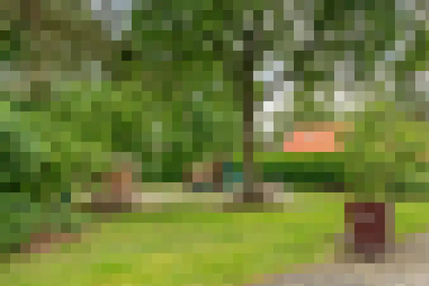 't Hertenspoor 14 Diever thumbnail 45