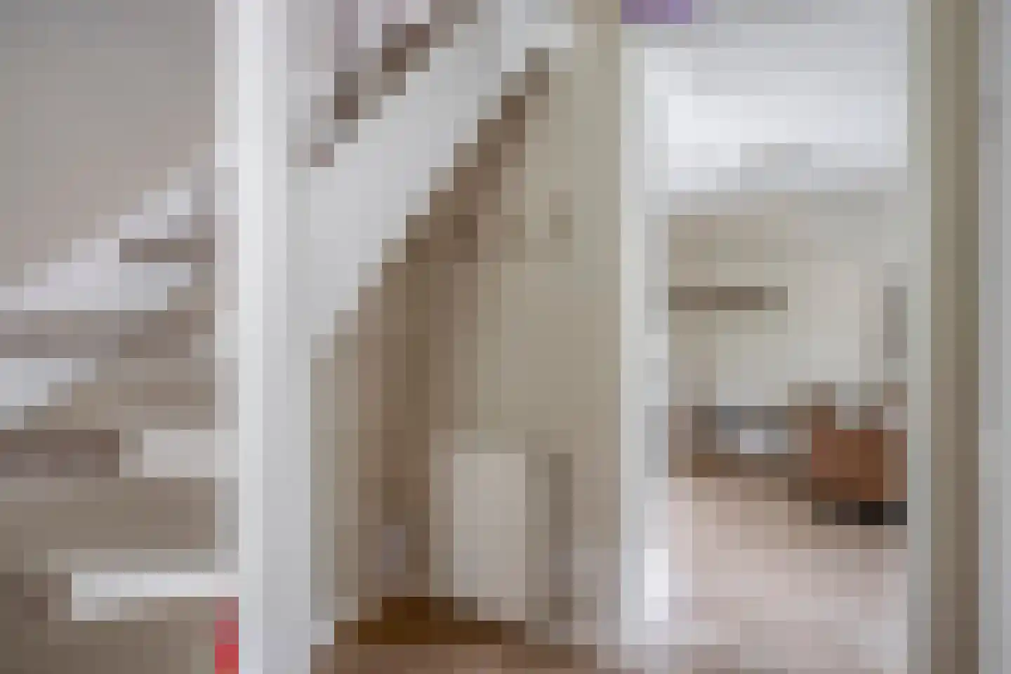 't Hertenspoor 14 Diever thumbnail 6
