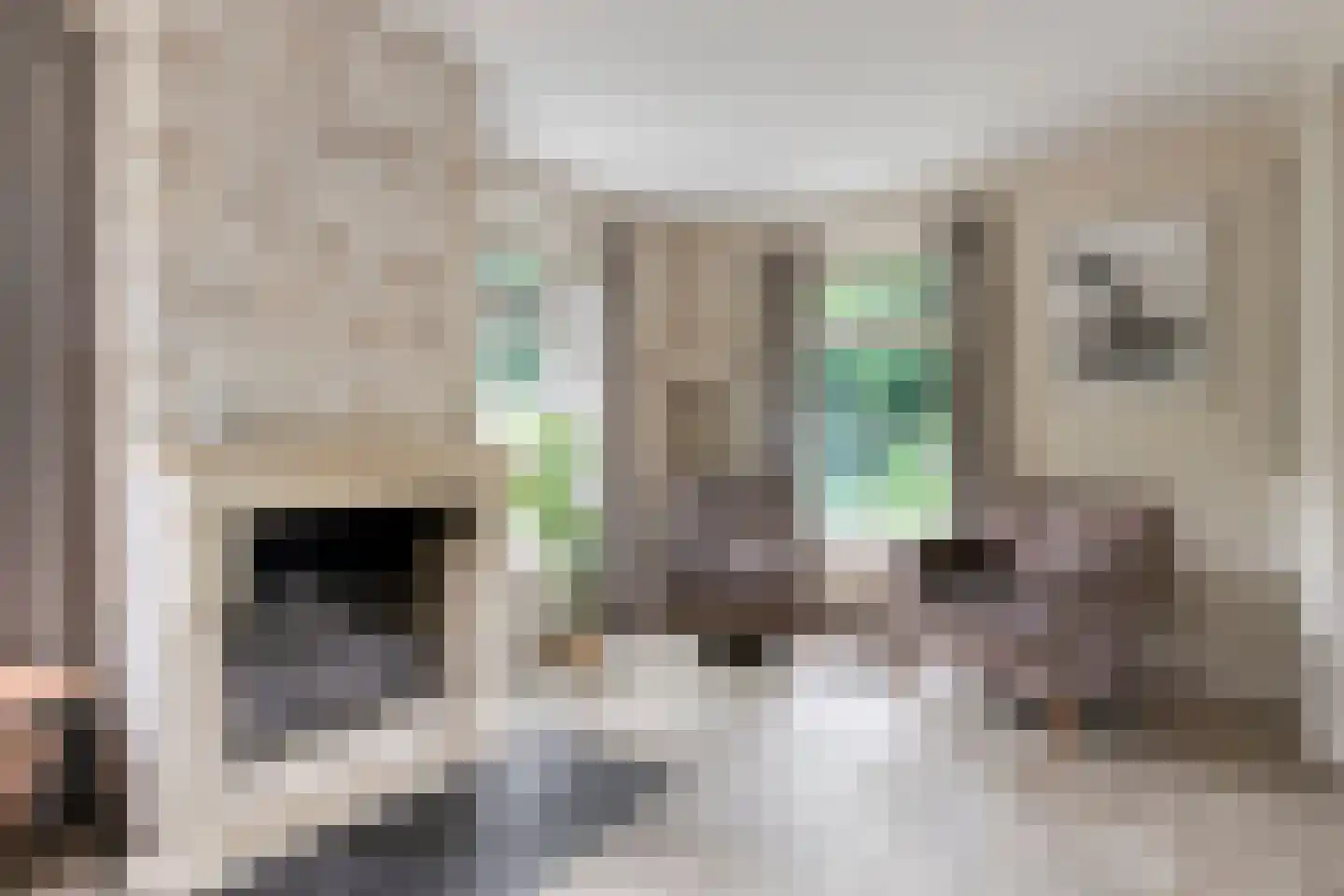 't Hertenspoor 14 Diever thumbnail 8