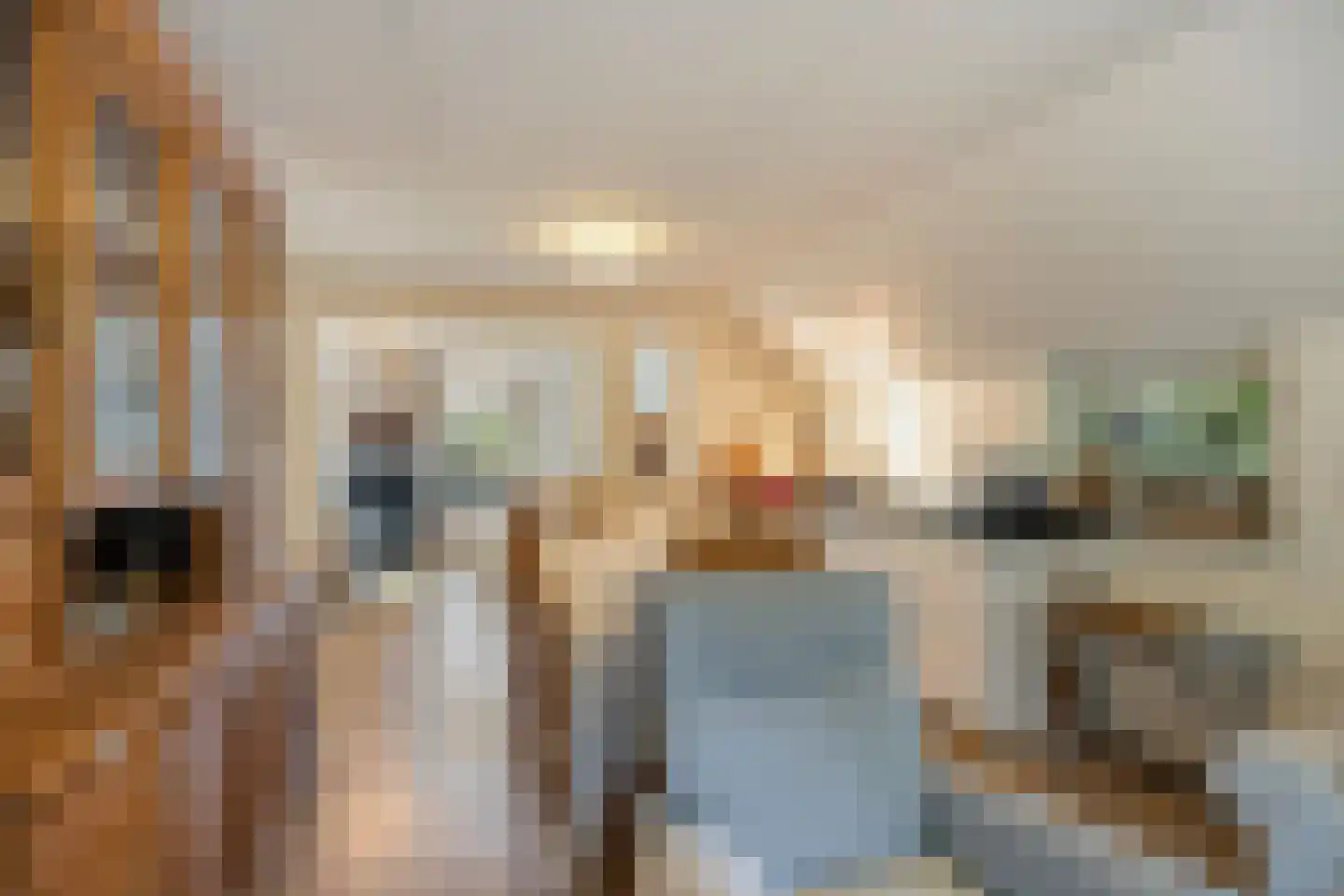 't Hertenspoor 145 Diever thumbnail 14