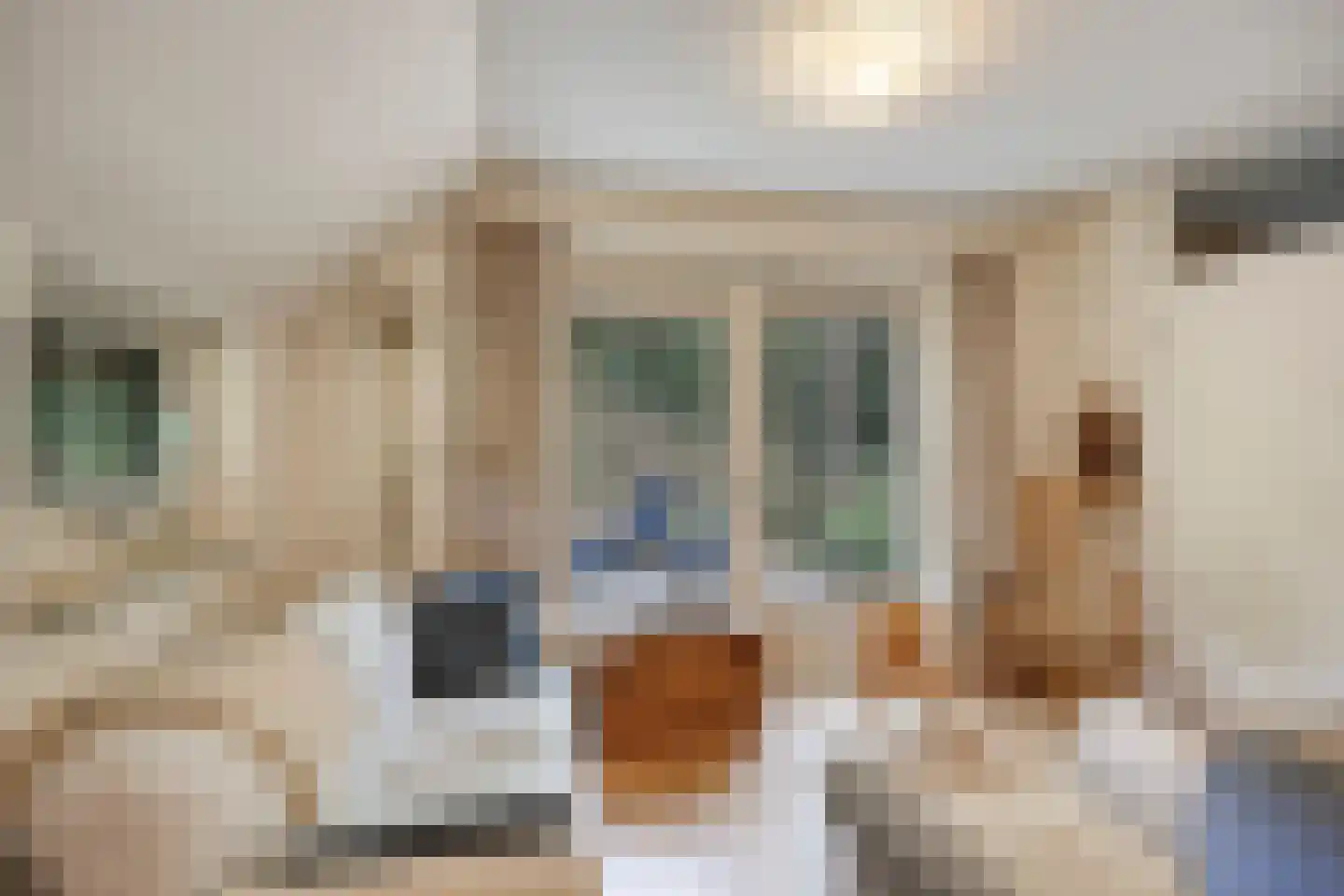 't Hertenspoor 145 Diever thumbnail 15