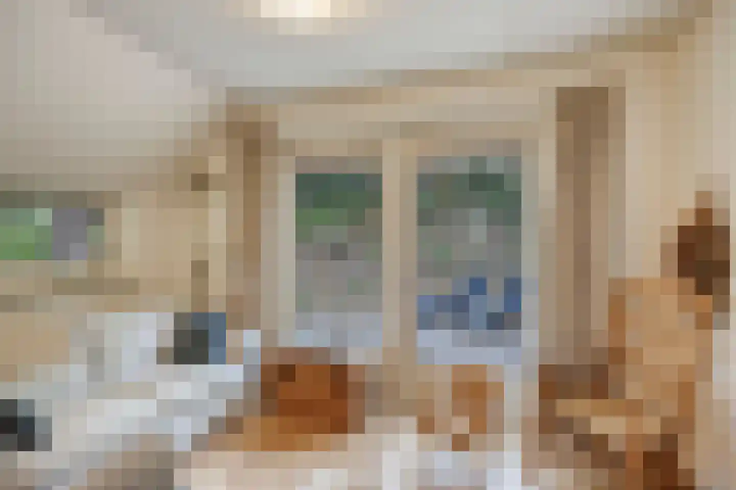 't Hertenspoor 145 Diever thumbnail 16