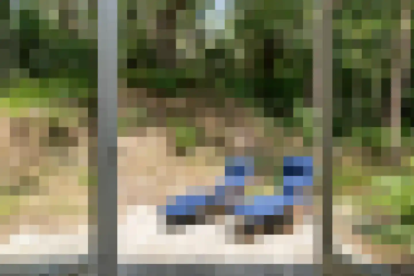 't Hertenspoor 145 Diever thumbnail 18