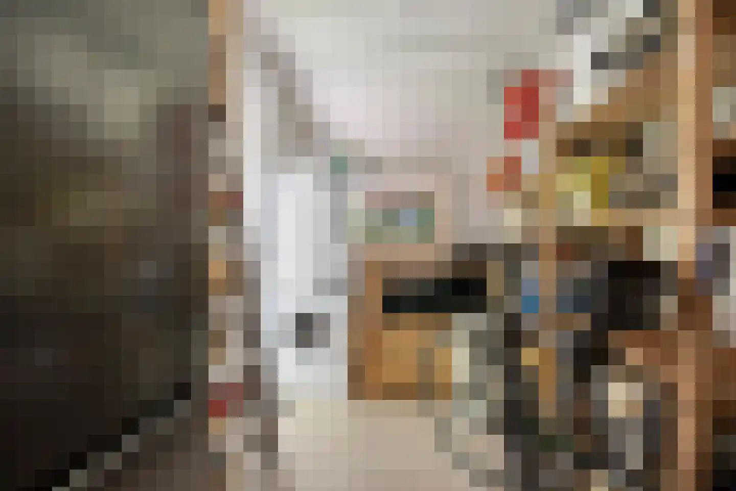 't Hertenspoor 145 Diever thumbnail 19