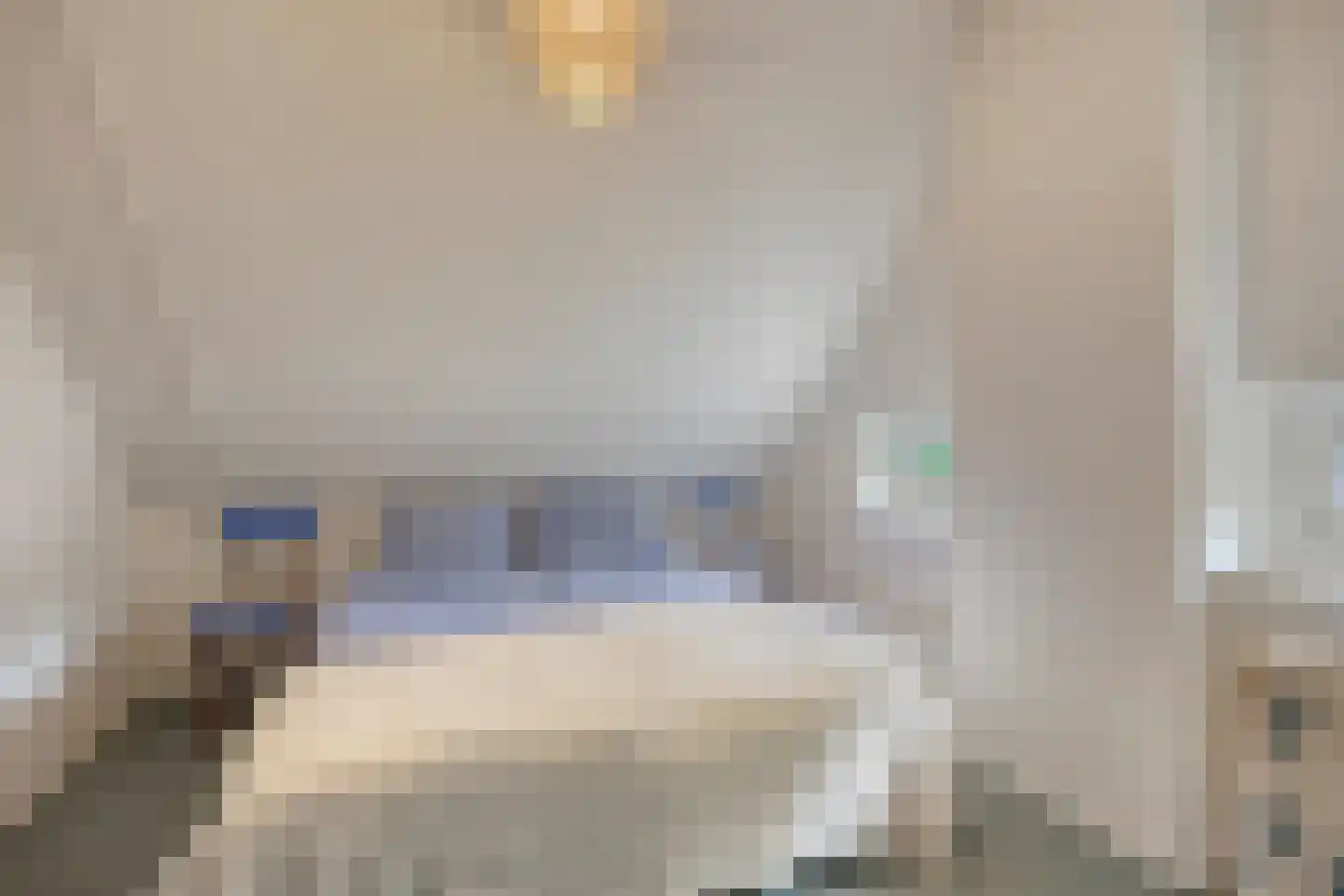 't Hertenspoor 145 Diever thumbnail 25