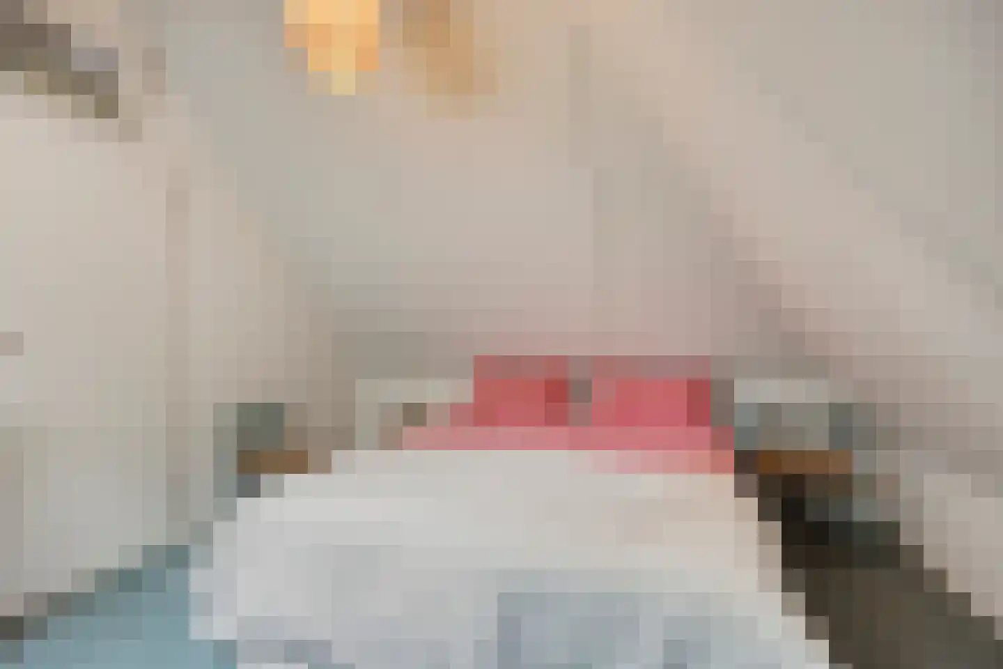 't Hertenspoor 145 Diever thumbnail 28