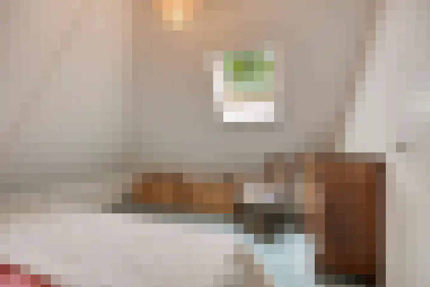 't Hertenspoor 145 Diever thumbnail 29