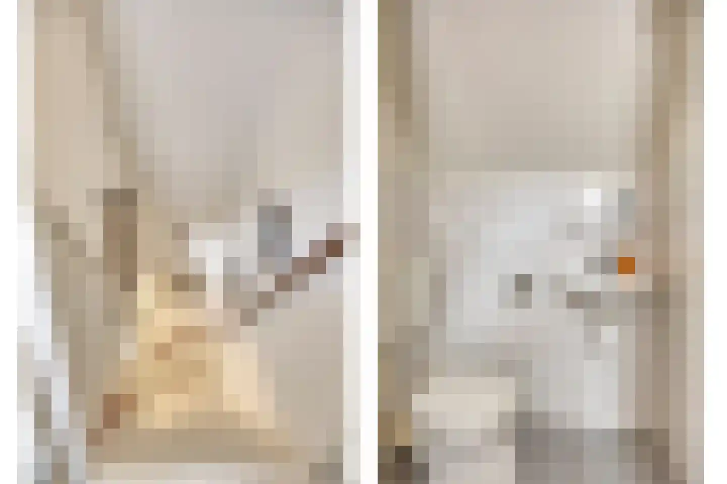 't Hertenspoor 145 Diever thumbnail 30
