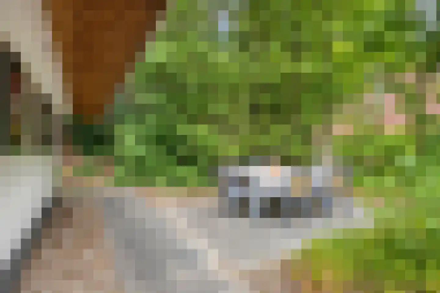 't Hertenspoor 145 Diever thumbnail 33