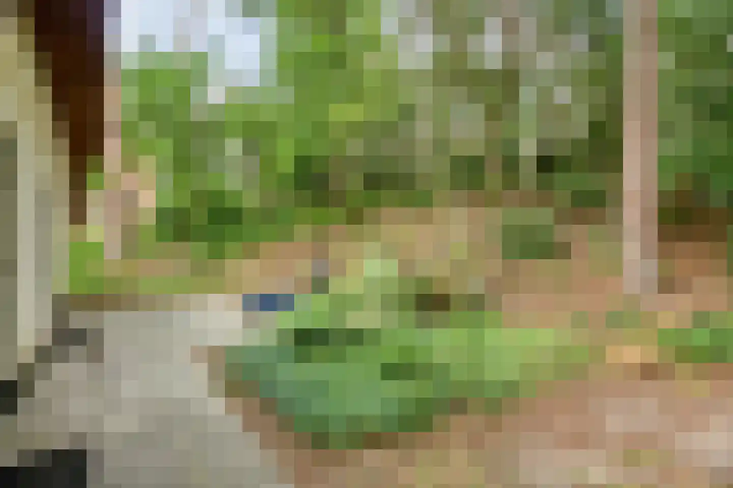 't Hertenspoor 145 Diever thumbnail 34