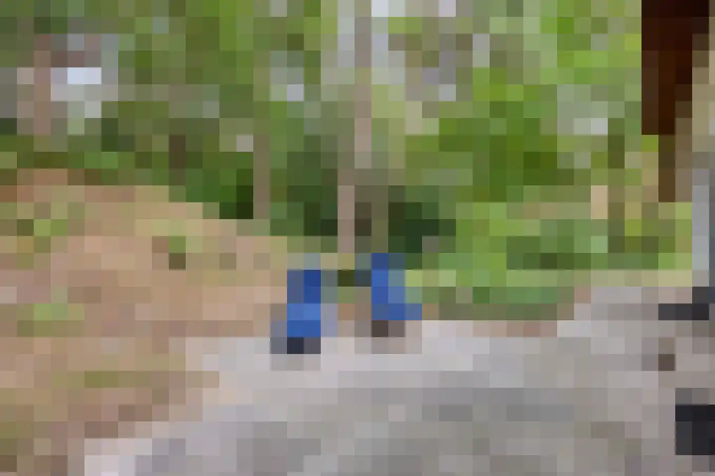 't Hertenspoor 145 Diever thumbnail 35