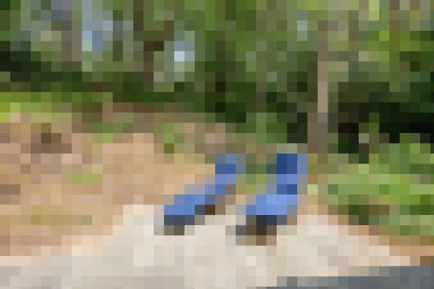 't Hertenspoor 145 Diever thumbnail 36