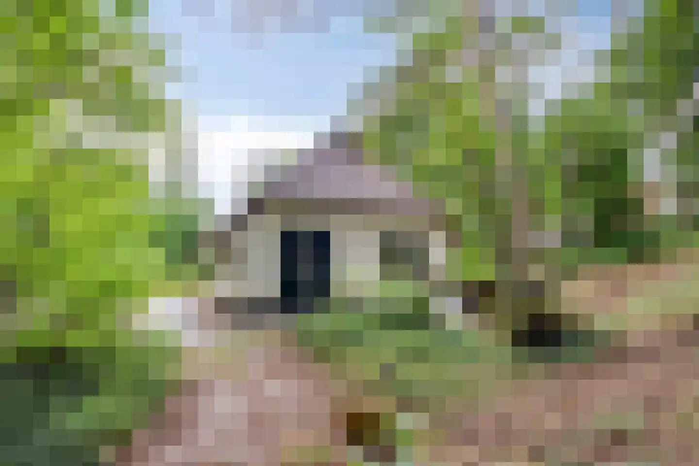 't Hertenspoor 145 Diever thumbnail 37