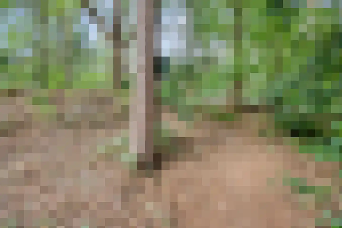 't Hertenspoor 145 Diever thumbnail 38