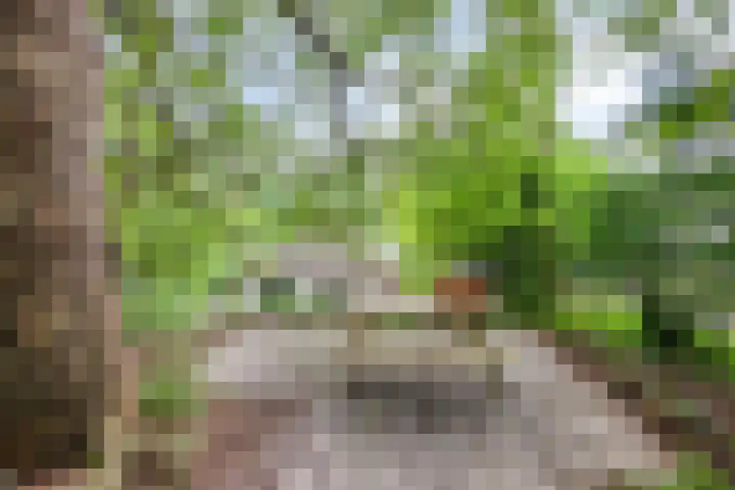 't Hertenspoor 145 Diever thumbnail 39