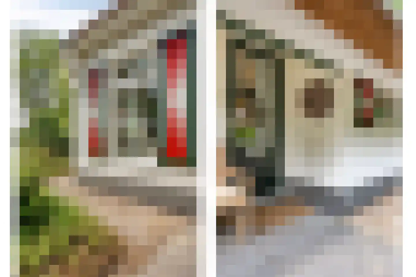 't Hertenspoor 145 Diever thumbnail 4