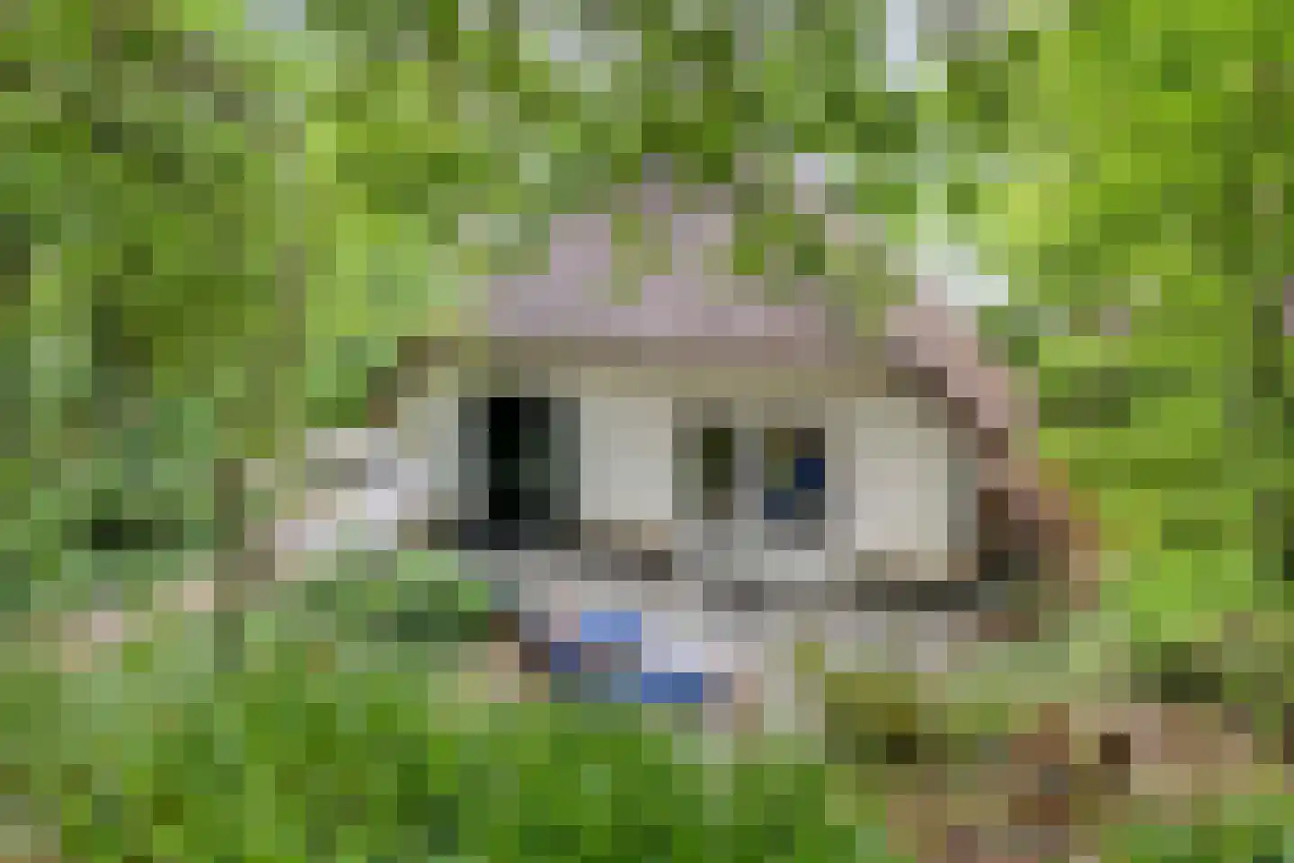 't Hertenspoor 145 Diever thumbnail 41