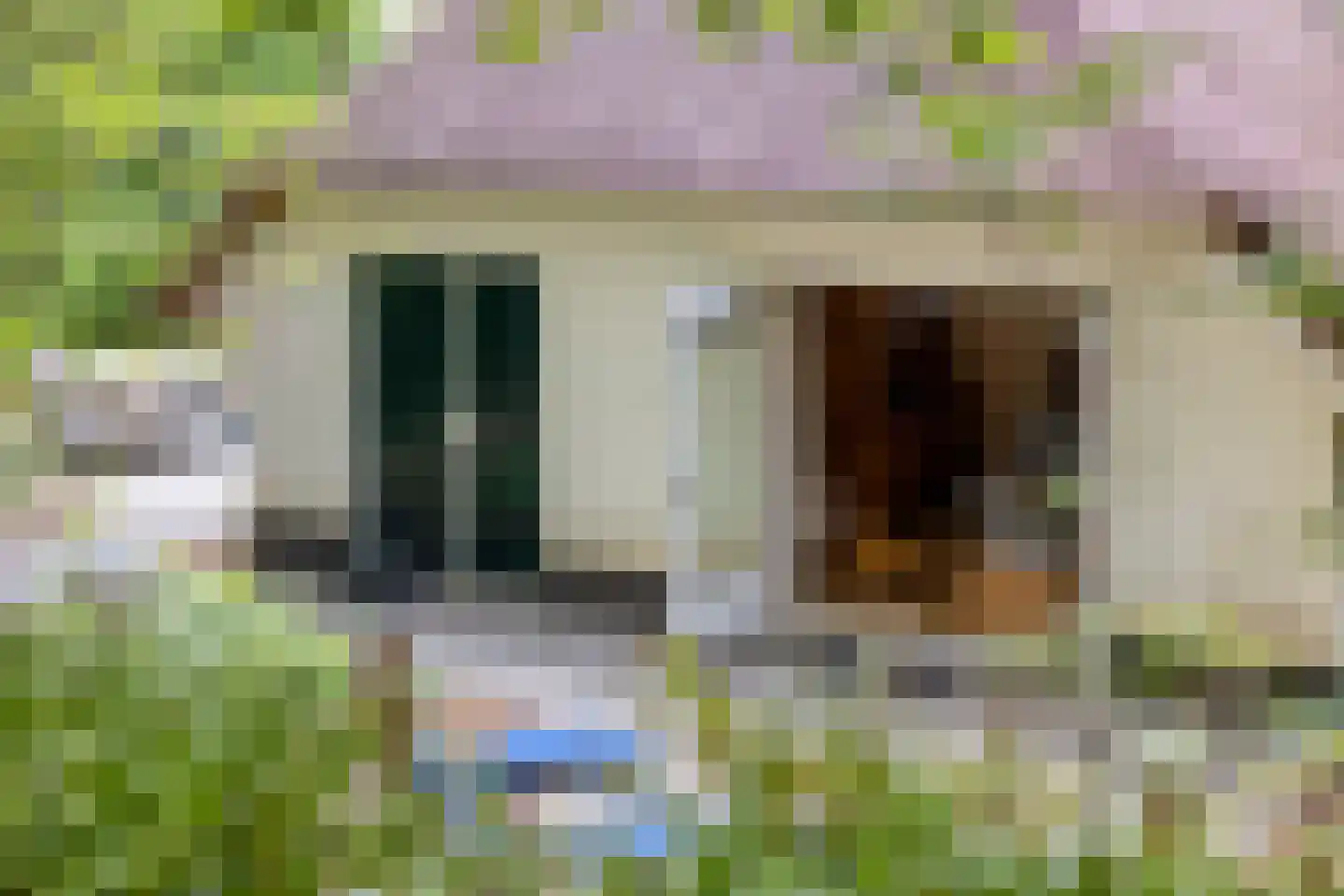't Hertenspoor 145 Diever thumbnail 44