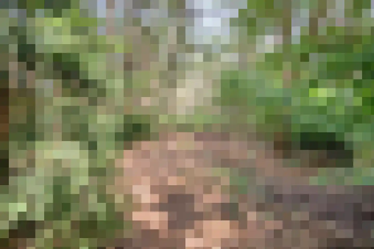 't Hertenspoor 145 Diever thumbnail 45