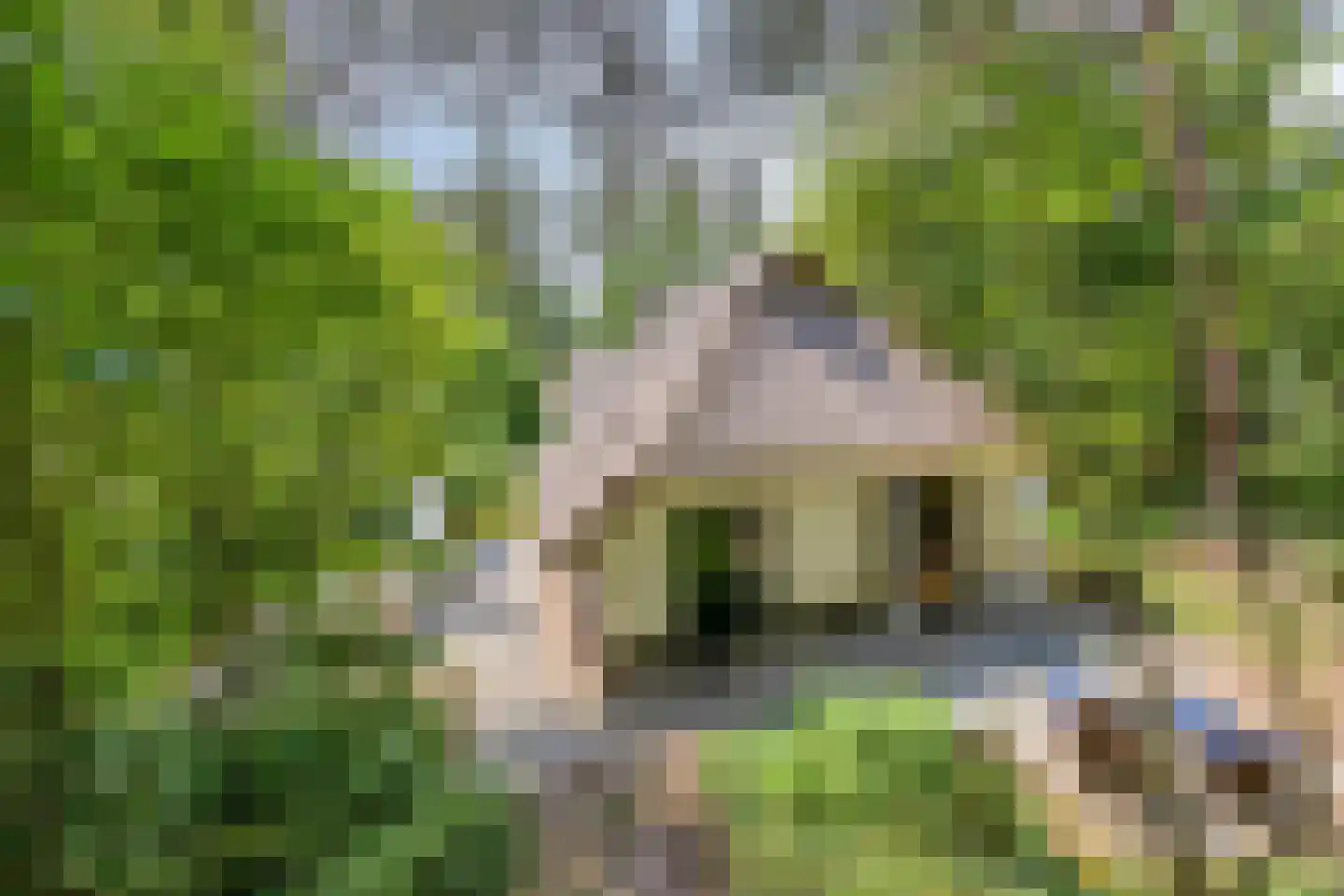 't Hertenspoor 145 Diever thumbnail 47