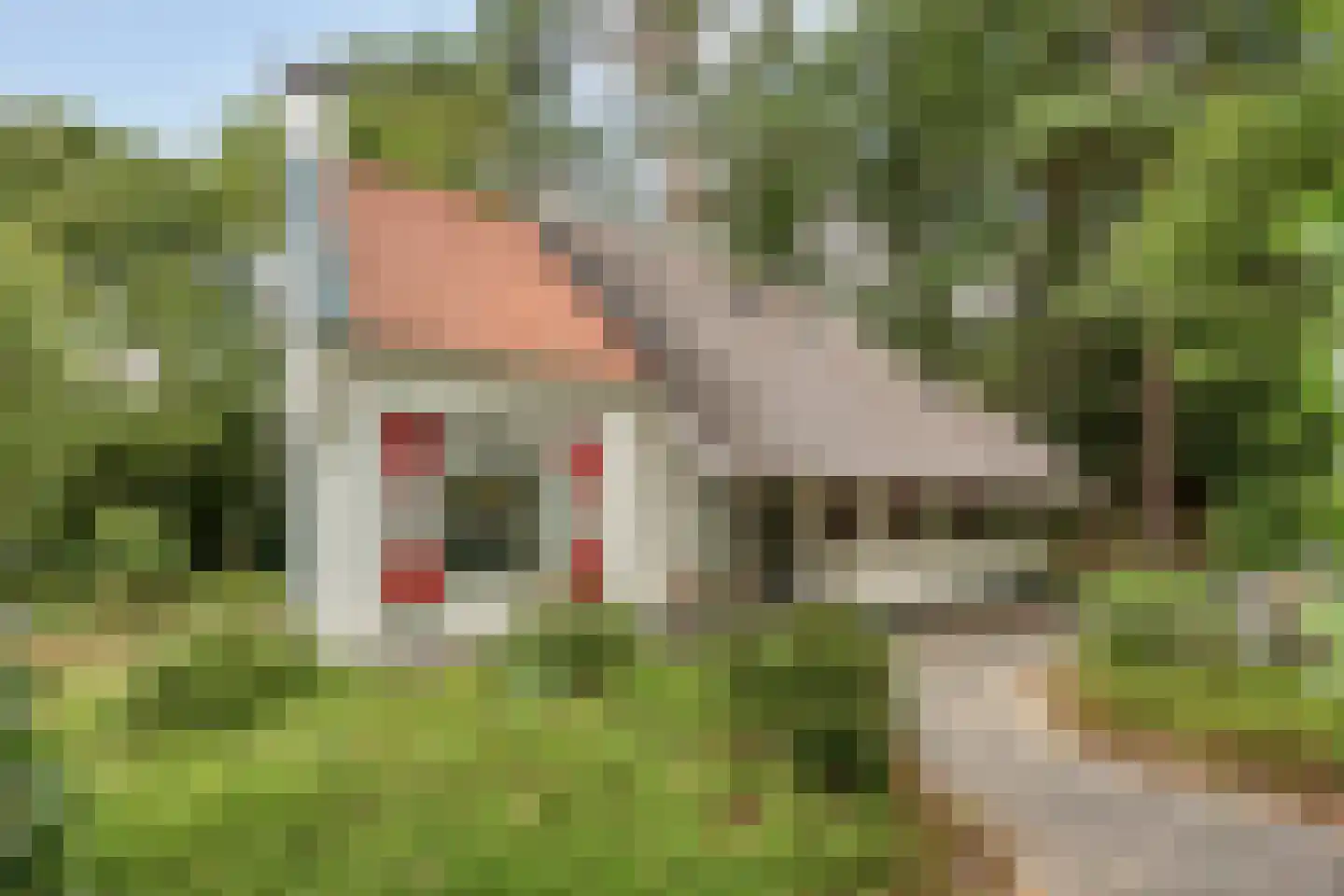 't Hertenspoor 145 Diever thumbnail 49