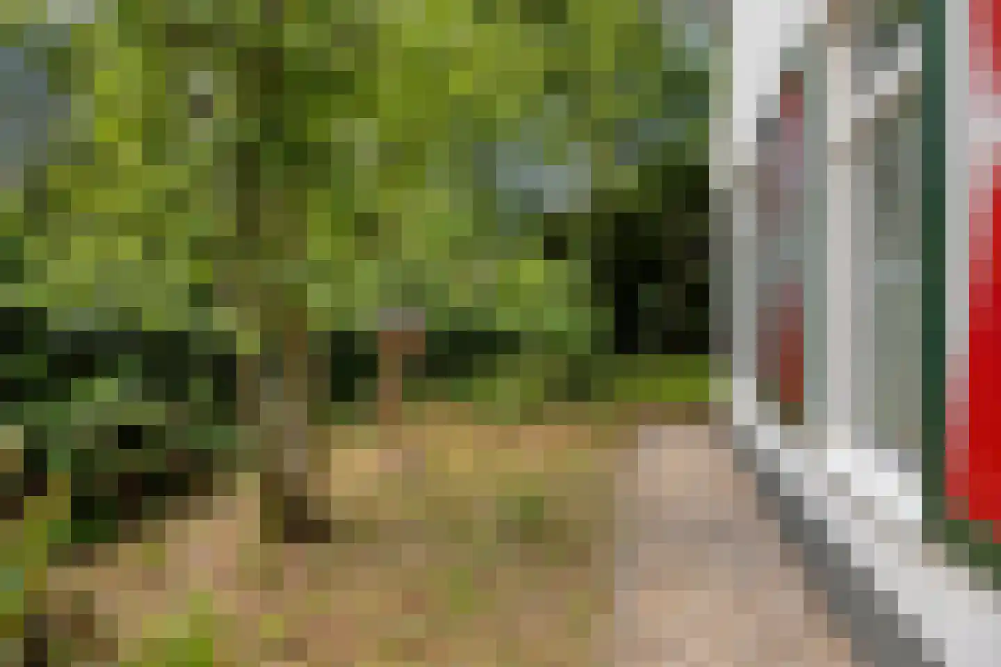 't Hertenspoor 145 Diever thumbnail 50