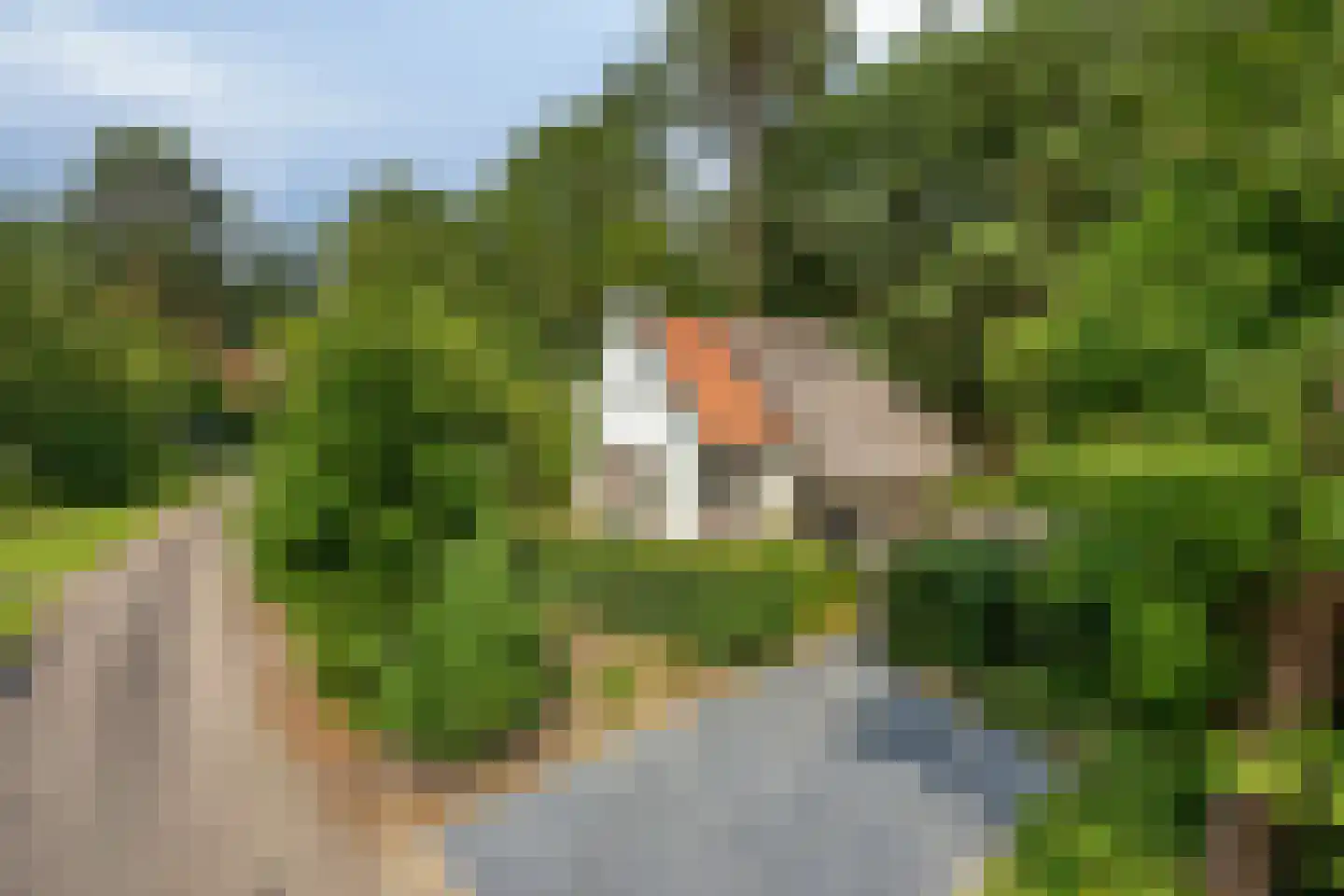 't Hertenspoor 145 Diever thumbnail 52