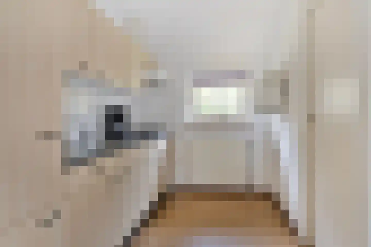 't Hertenspoor 146 Diever thumbnail 10
