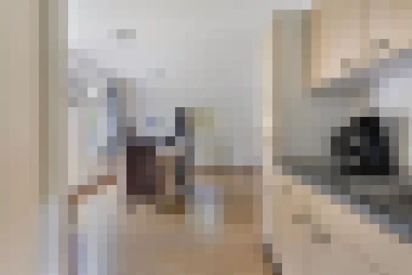 't Hertenspoor 146 Diever thumbnail 11